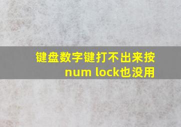 键盘数字键打不出来按num lock也没用